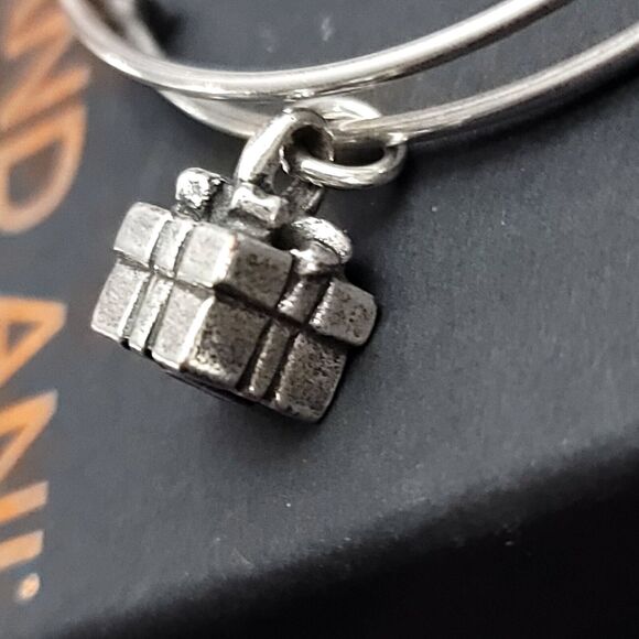 Alex And Ani Gift Box Charm Bracelet - Picture 4 of 6